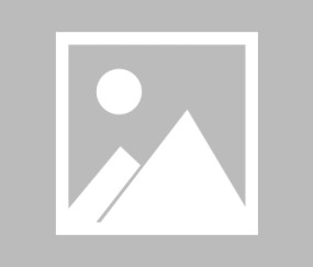 开云入口-体育界风云突变，骑士转会、国安防线与黄蜂的意甲备战闹剧，体育三线震荡，骑士转会风云、国安防线危机与黄蜂意甲备战闹剧